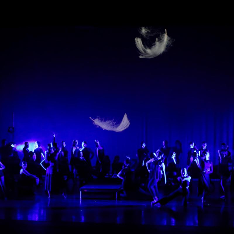 Madonna 468 2025 Spring Show